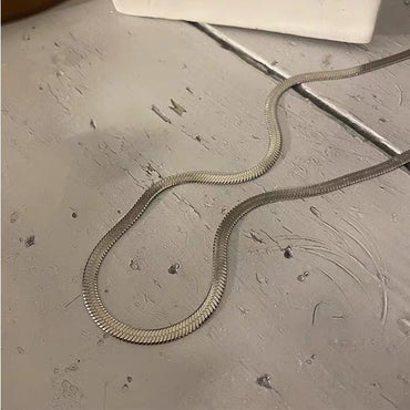 Titanium Steel Basic Style Necklace For Men And Women